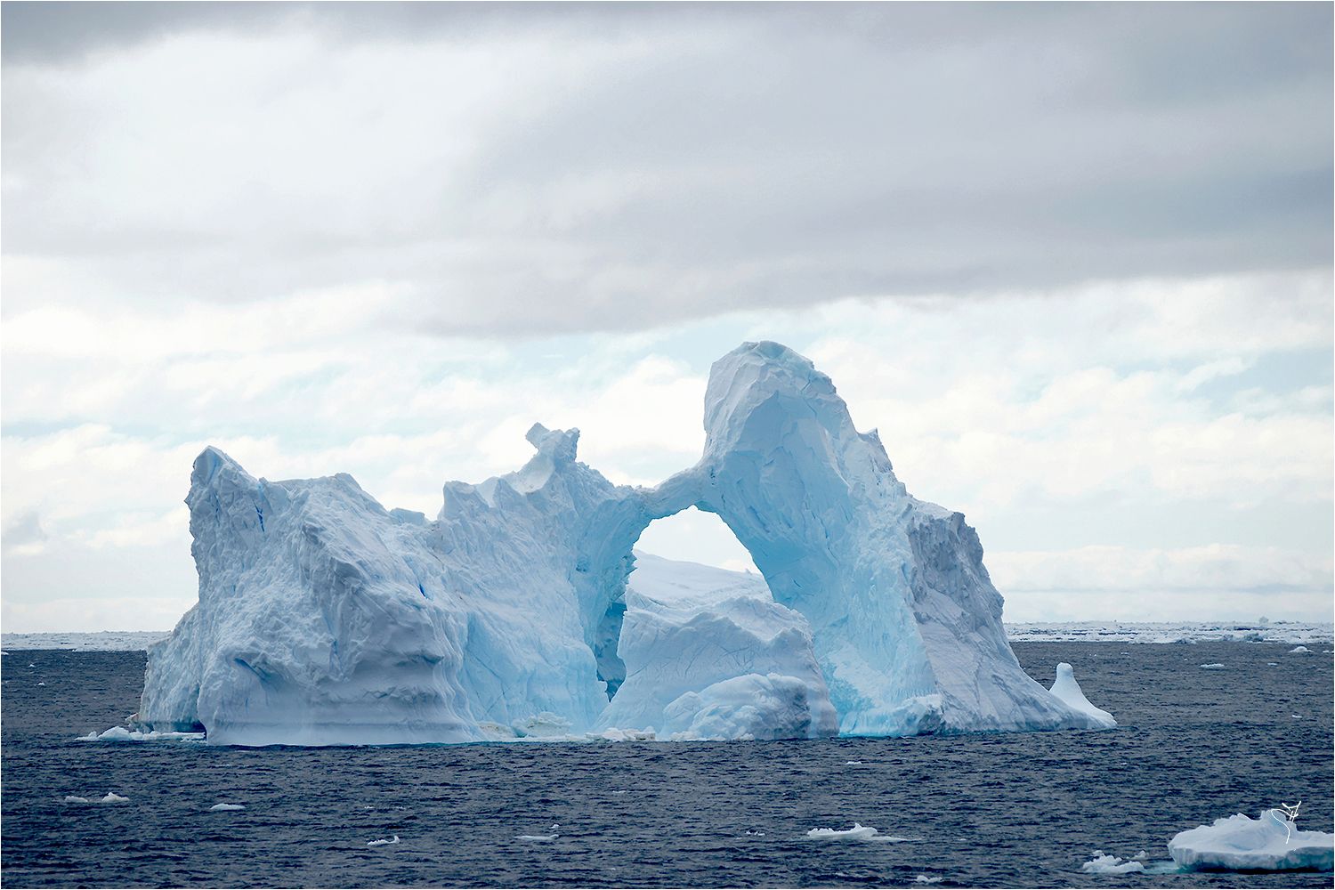 Antarctique Janvier 2014